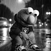 RaiderNation's Avatar